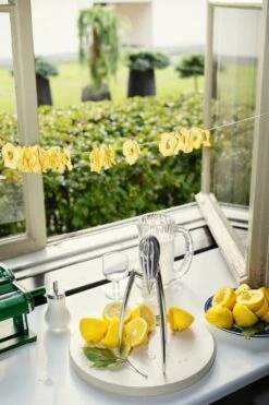 HAY Chopping Board, Round, L, Off White -Kitchenware Shop 0723P FDS kesa 2023 0586