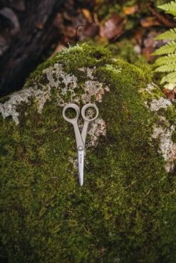 Fiskars ReNew Small Universal Scissors, 17 Cm -Kitchenware Shop 26Fiskars AK