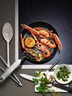 Fiskars Rotisser NOH Frying Pan 24 Cm 9 Fiskars Rotisser NOH Frying Pan 24 Cm -Kitchenware Shop Hackman Rotisser NOH CMYK Coated JPG